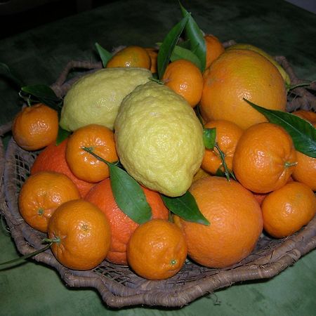 Agriturismo Baglio Donna Santa Dattilo Екстер'єр фото
