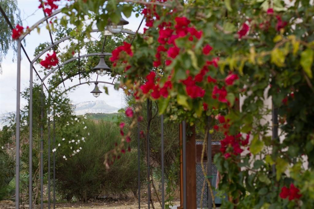 Agriturismo Baglio Donna Santa Dattilo Екстер'єр фото